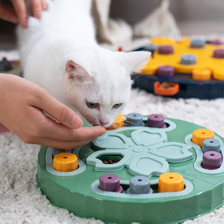 Castron hranire lenta caini si pisici cu puzzle Grunluft HappyPET DT-BY-02