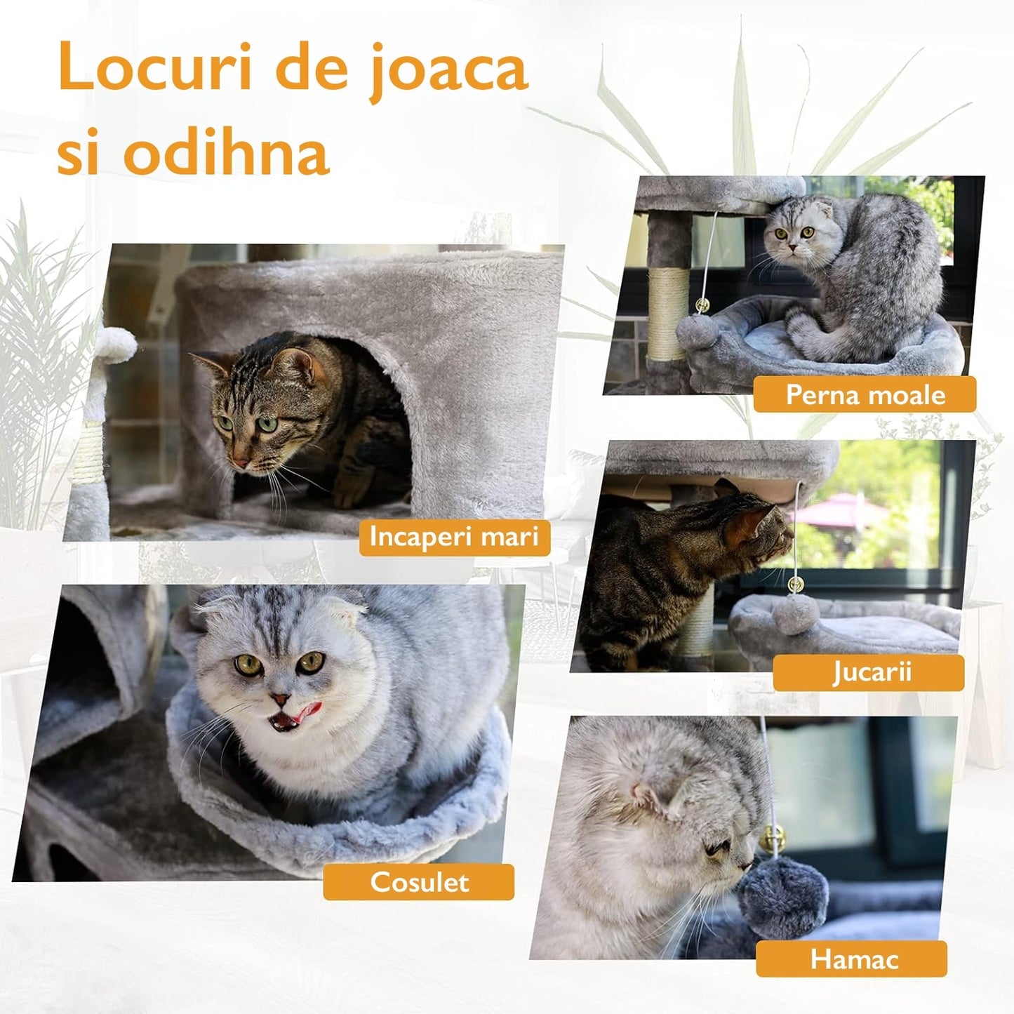 Loc de Joaca Pentru Pisici KD Home® Happy Caty