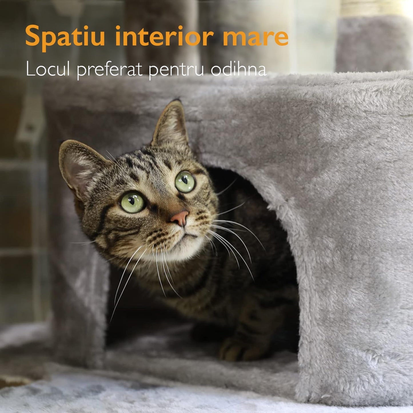 Loc de Joaca Pentru Pisici KD Home® Happy Caty