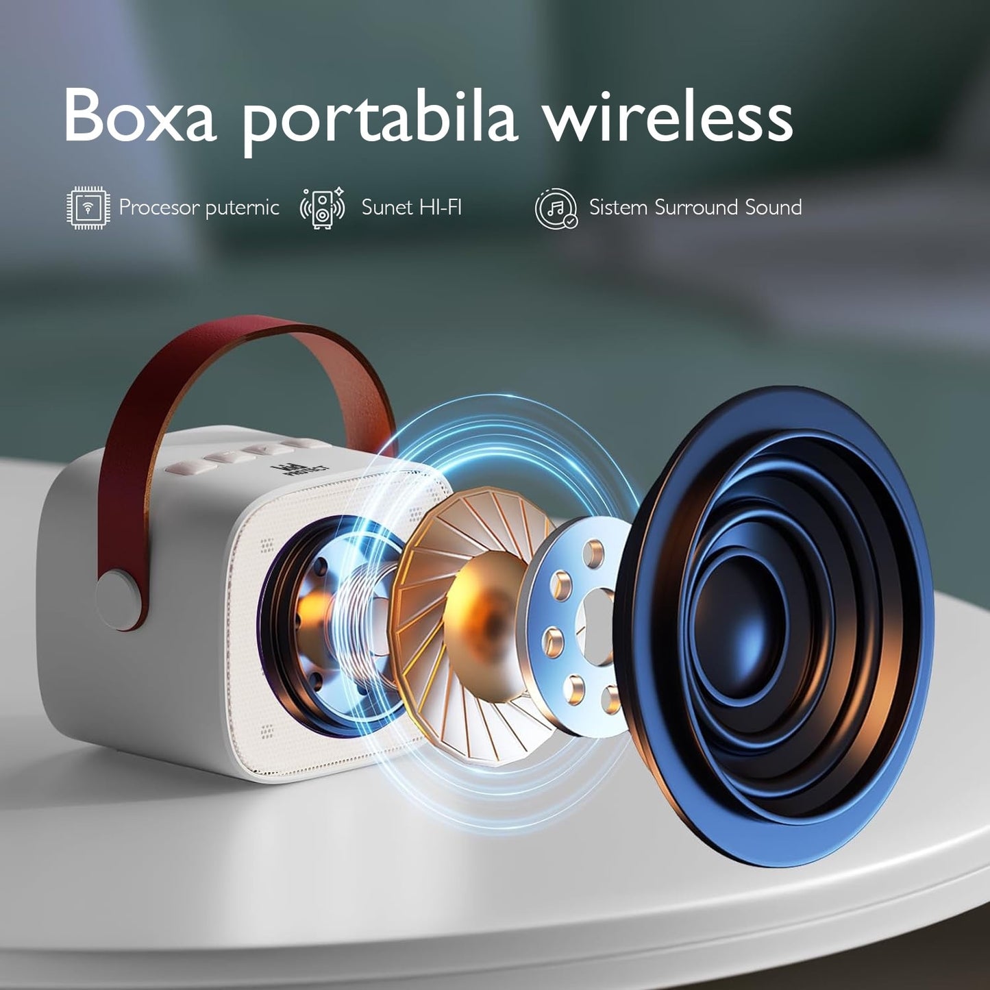 Microfon Karaoke si Boxa KidProtect® Magic Voice